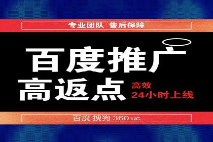 百度竞价广告投放策略：案例分析及效果评估